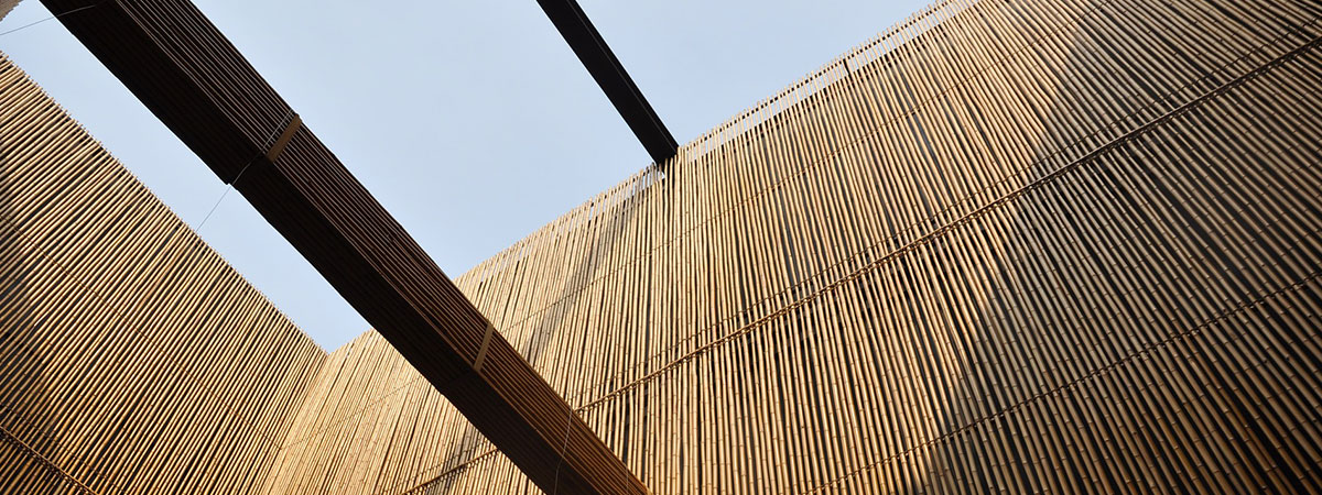 Bamboo: The 'green steel' of the 21st century?