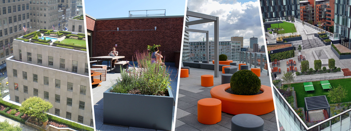 Raising The Roof - The ‘rising’ popularity of urban roof terrace gardens