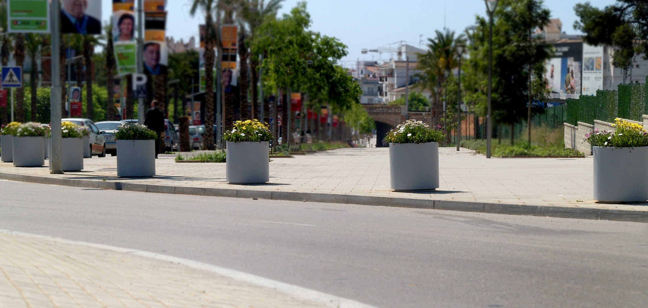 Aster Planter
