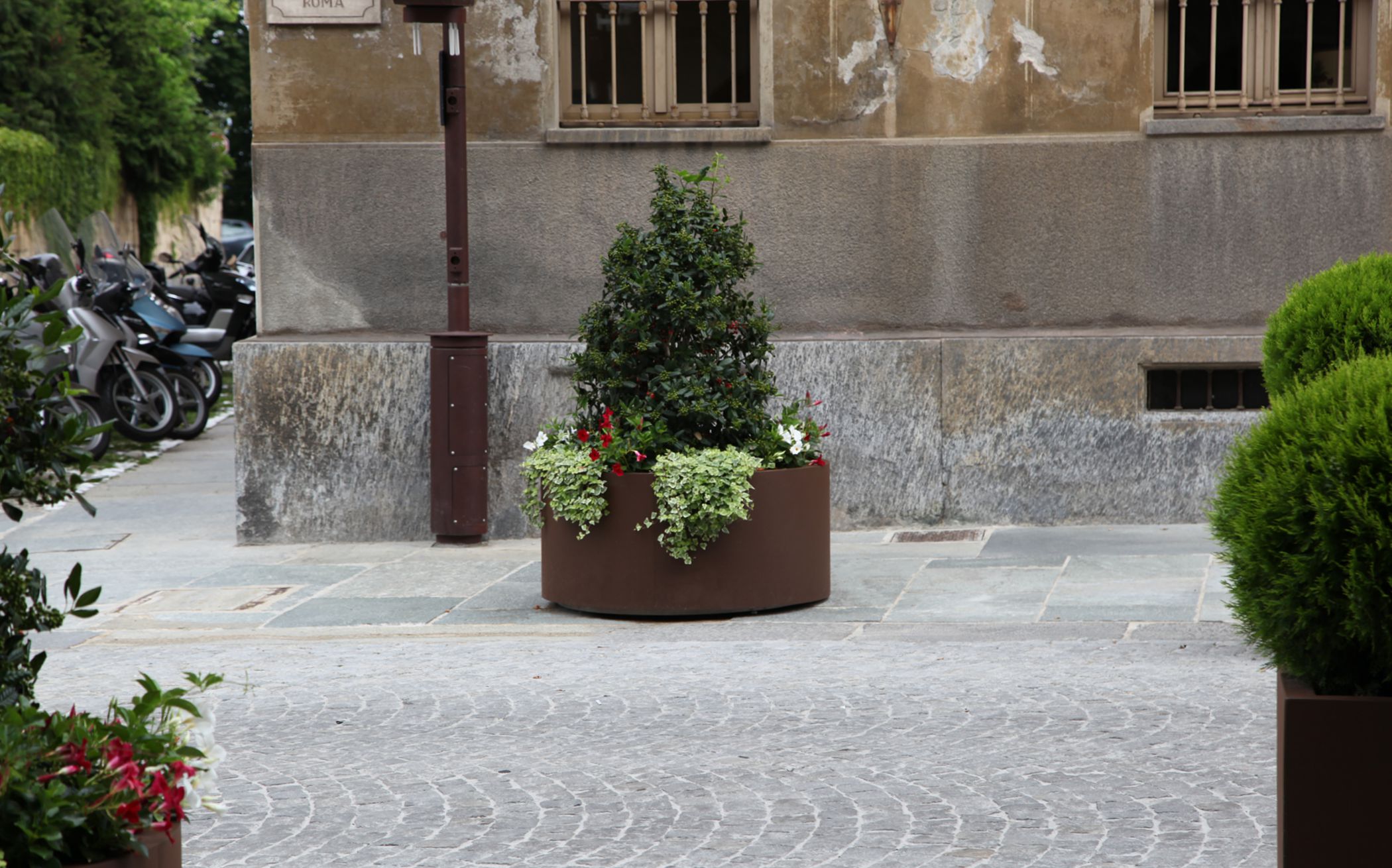 Aster Planter