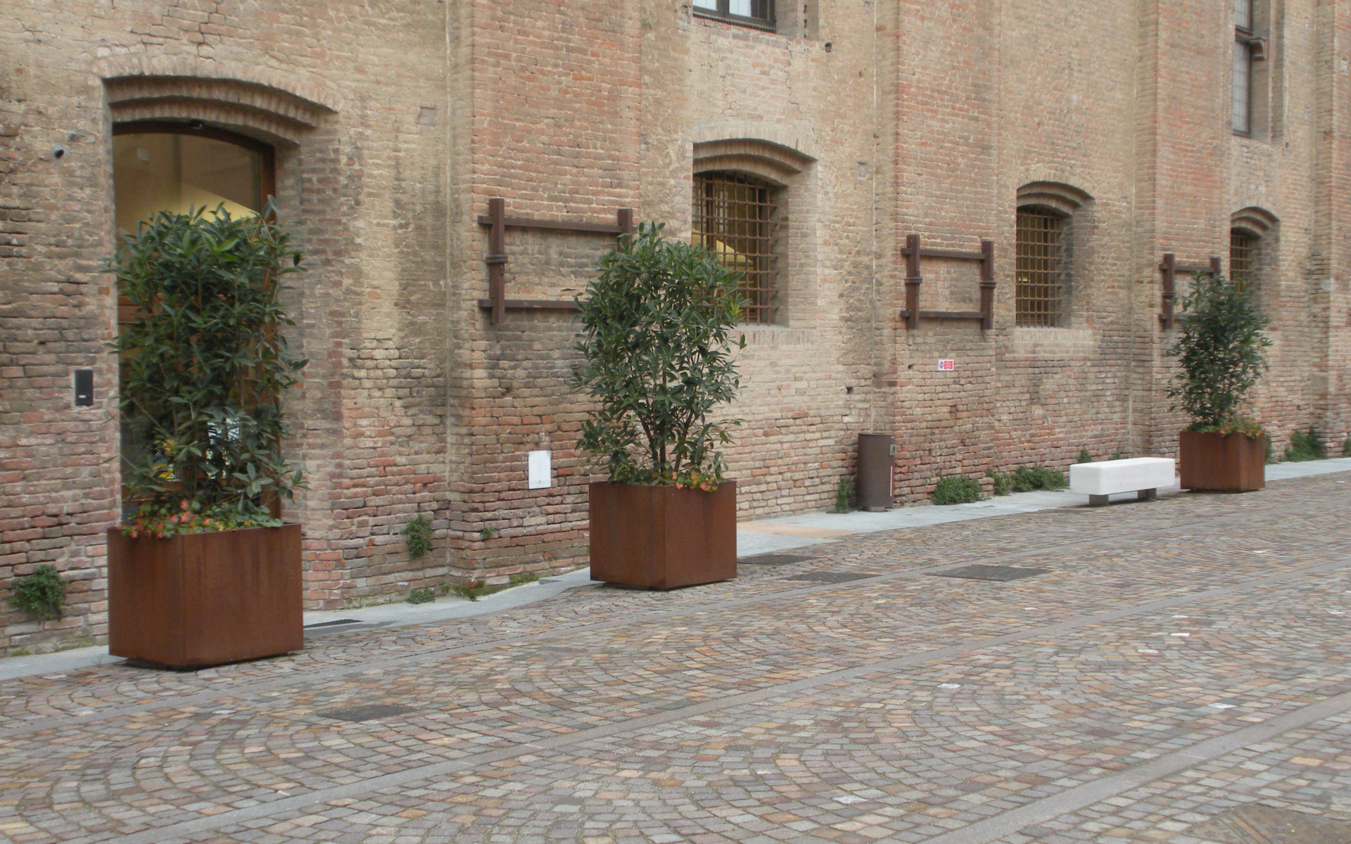 Aster Planter