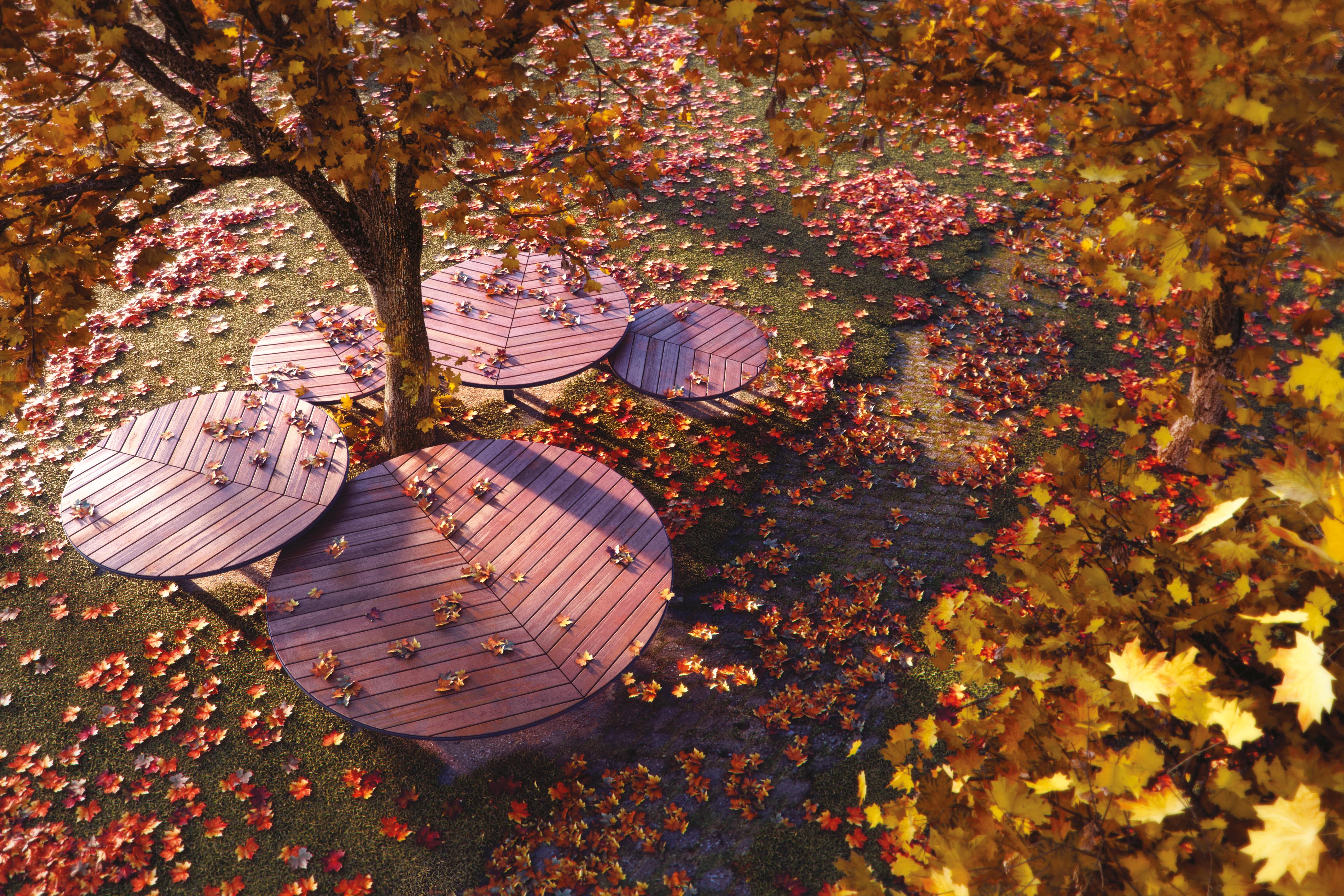 Atollo Bench