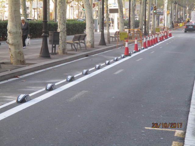 Bike Lane Separator