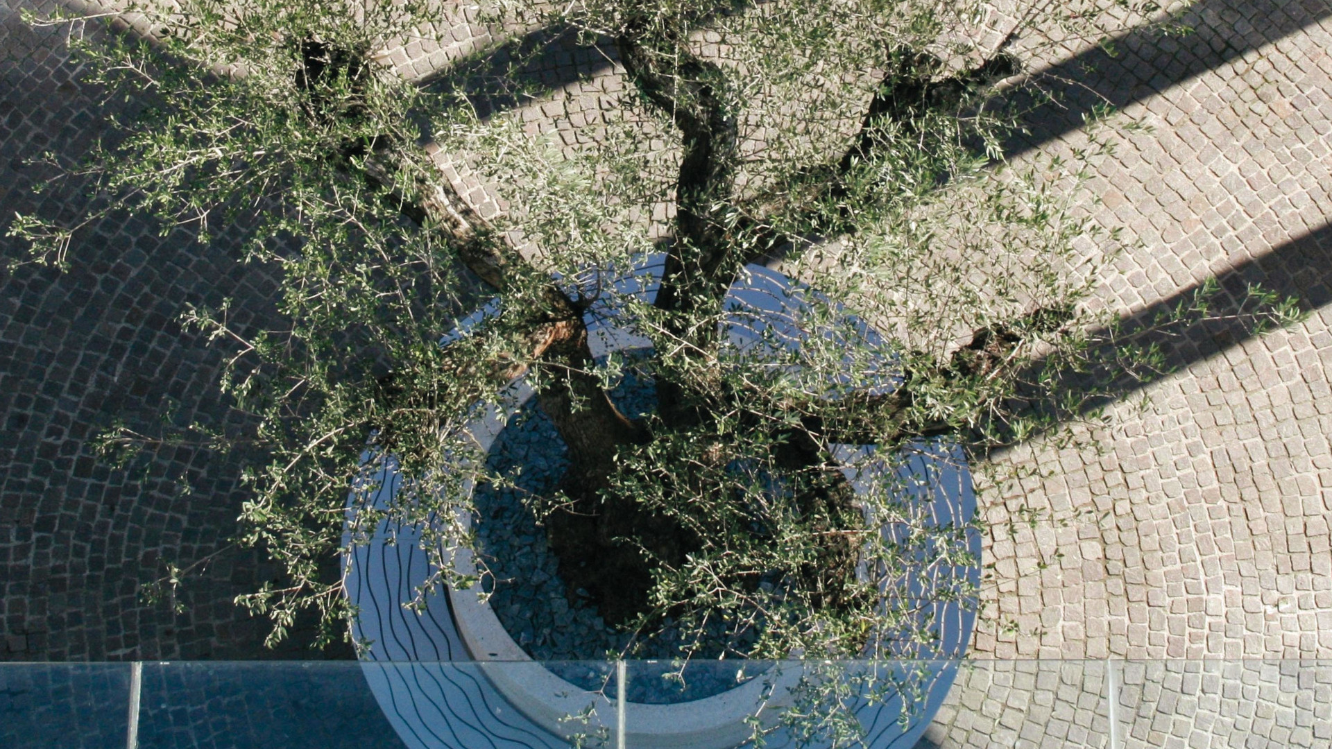 Onice Planter