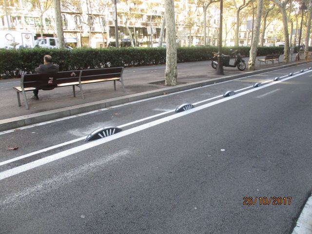 Bike Lane Separator