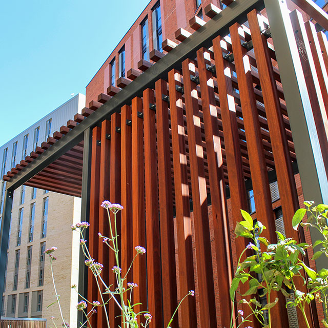 St Marks Pergola