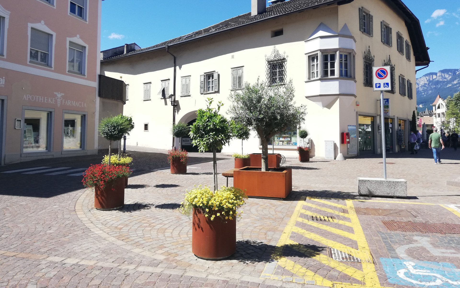 Aster Planter