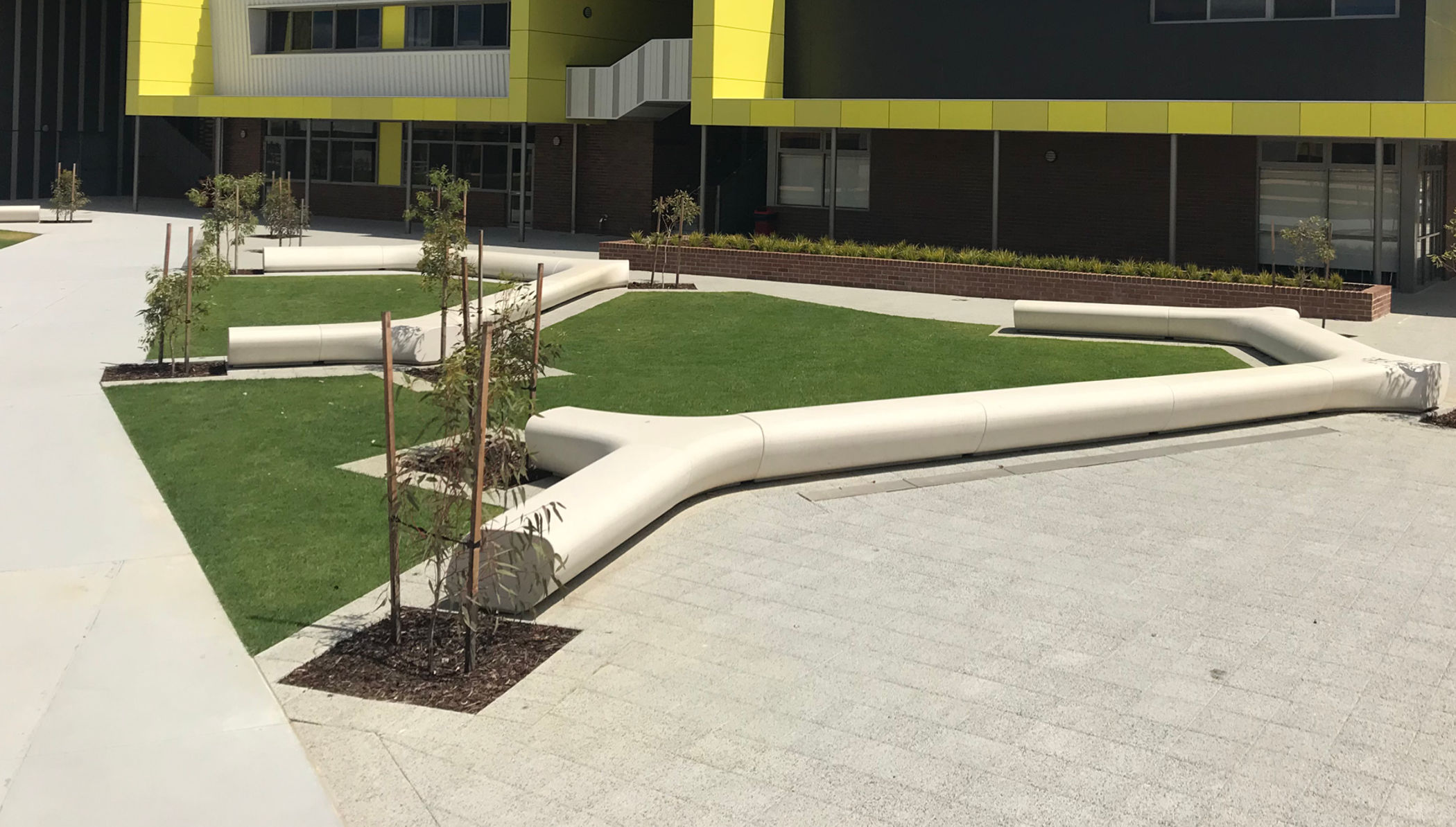 Tree Line Seating
