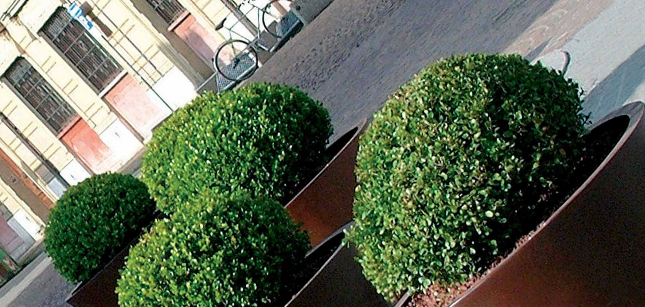 Pitocca Planter