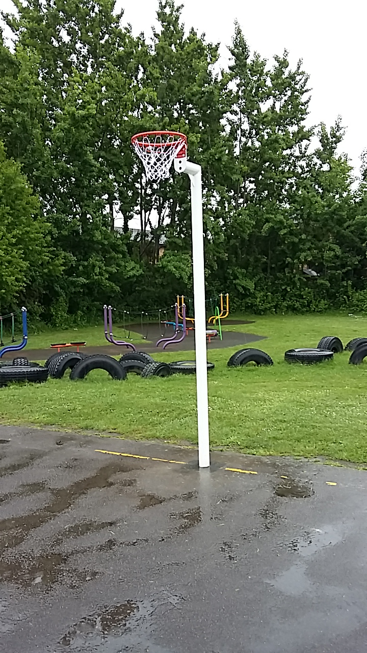 Netball Post