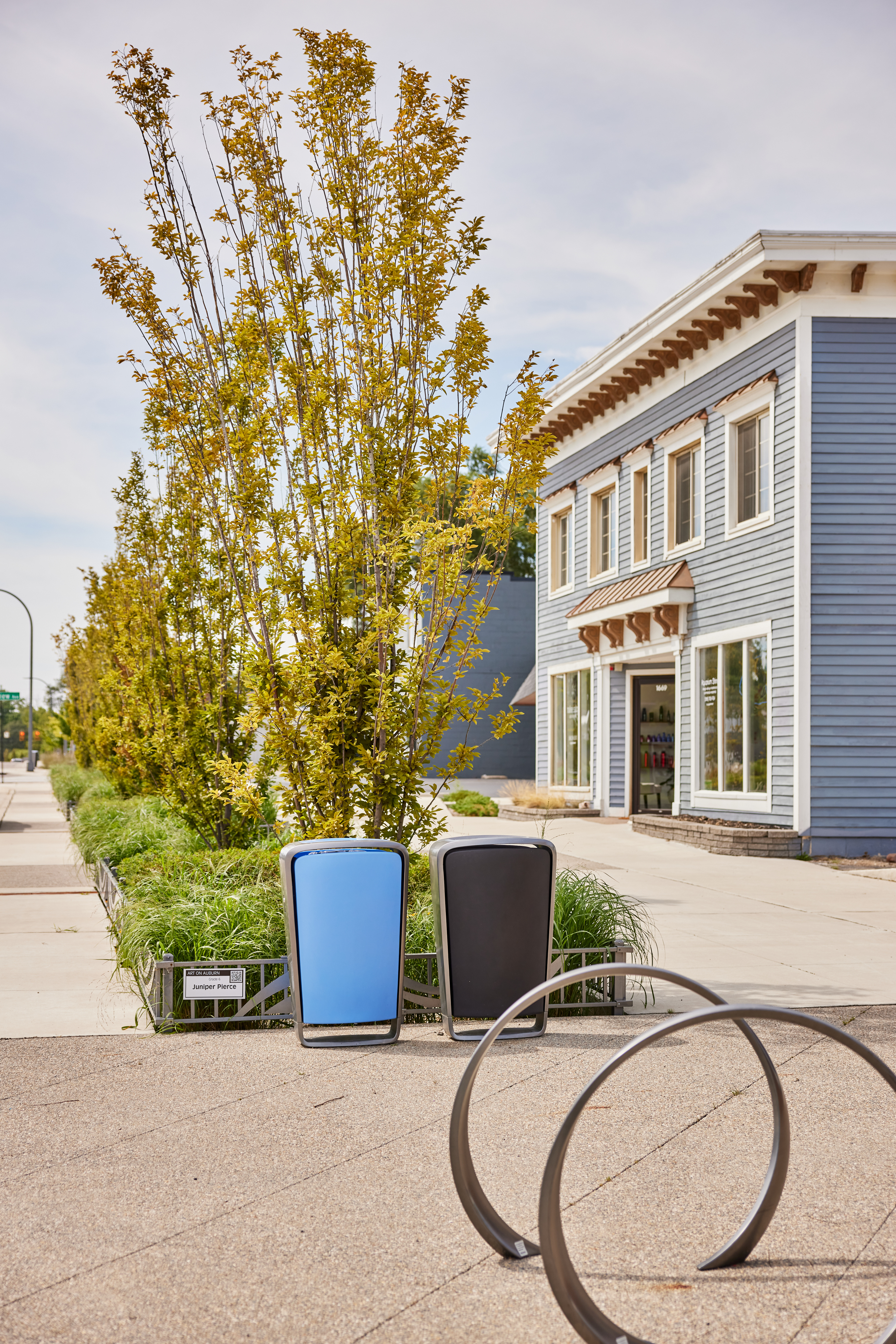 Collect Litter Bin