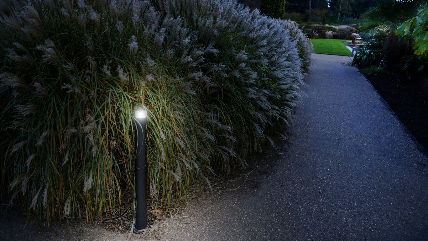 RHS Gardens, Wisley