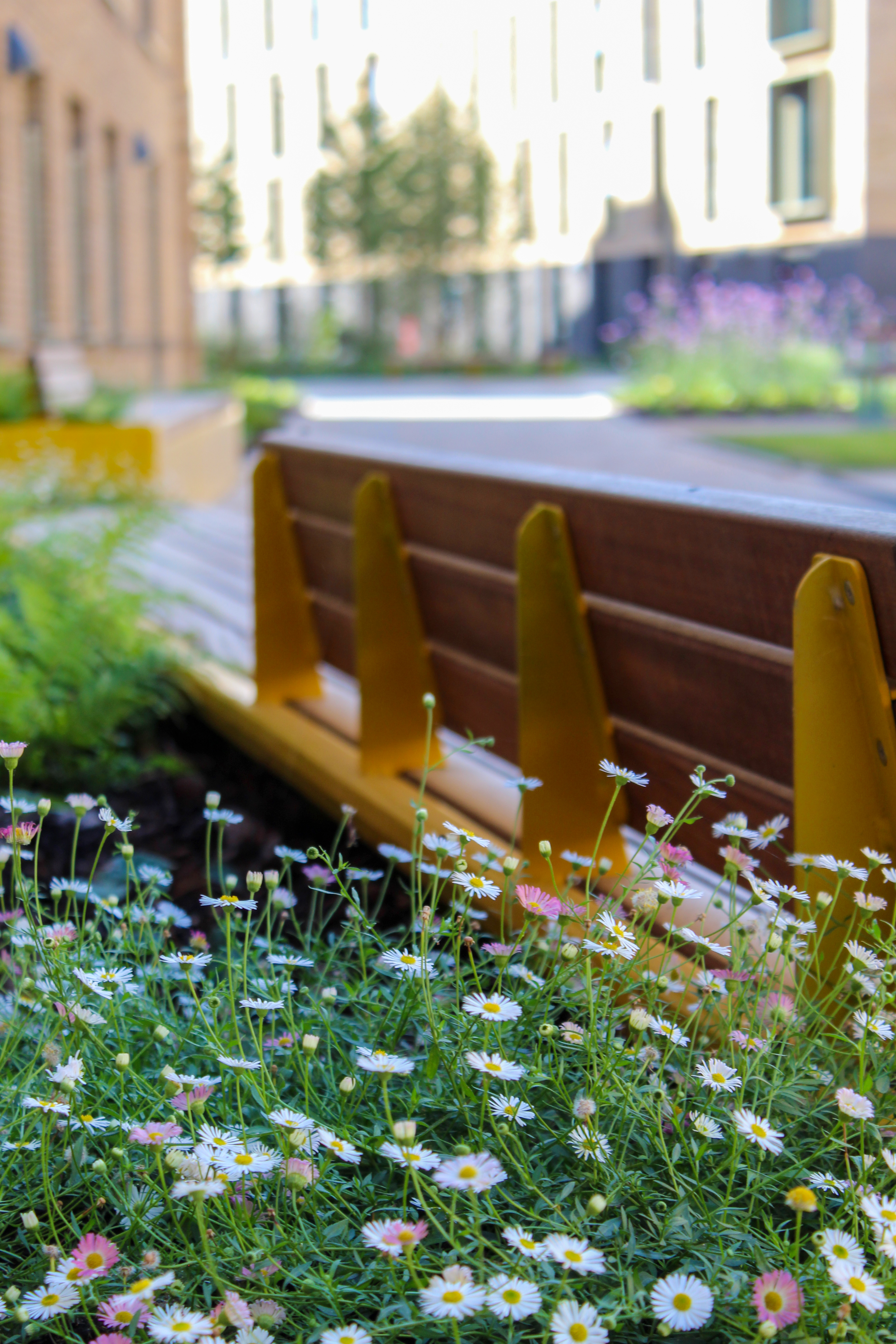 Inspira Planter