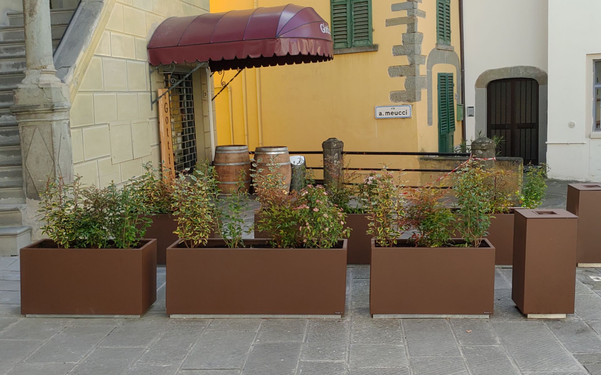 Dahlia Planter