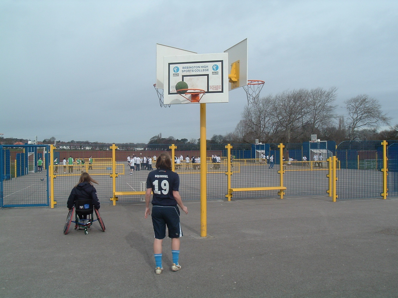 Triple Basketball and Netball Posts