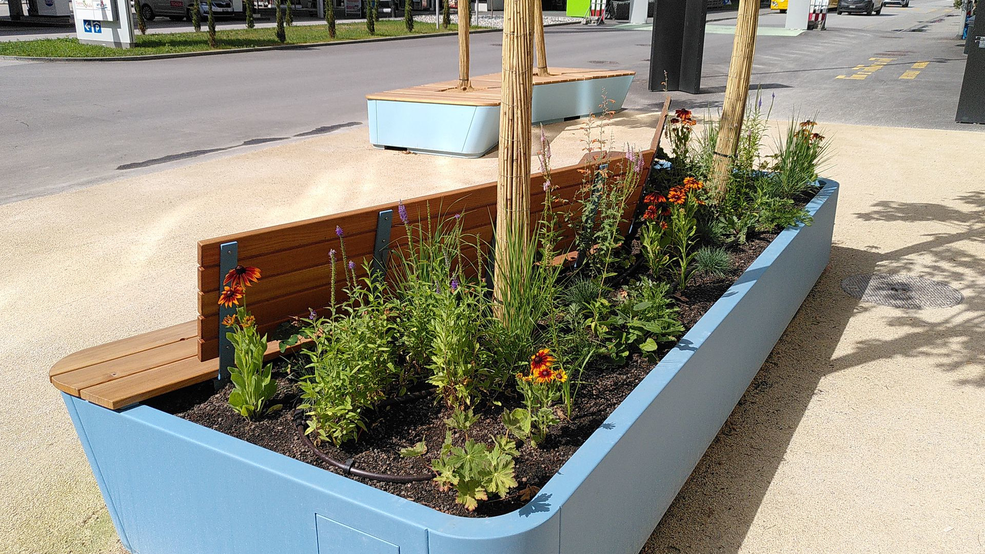 City of Sion Planter