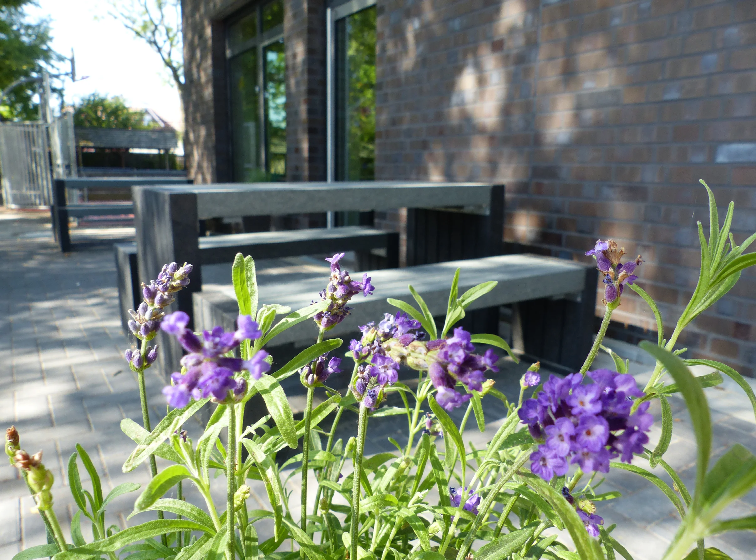Calero Picnic Table