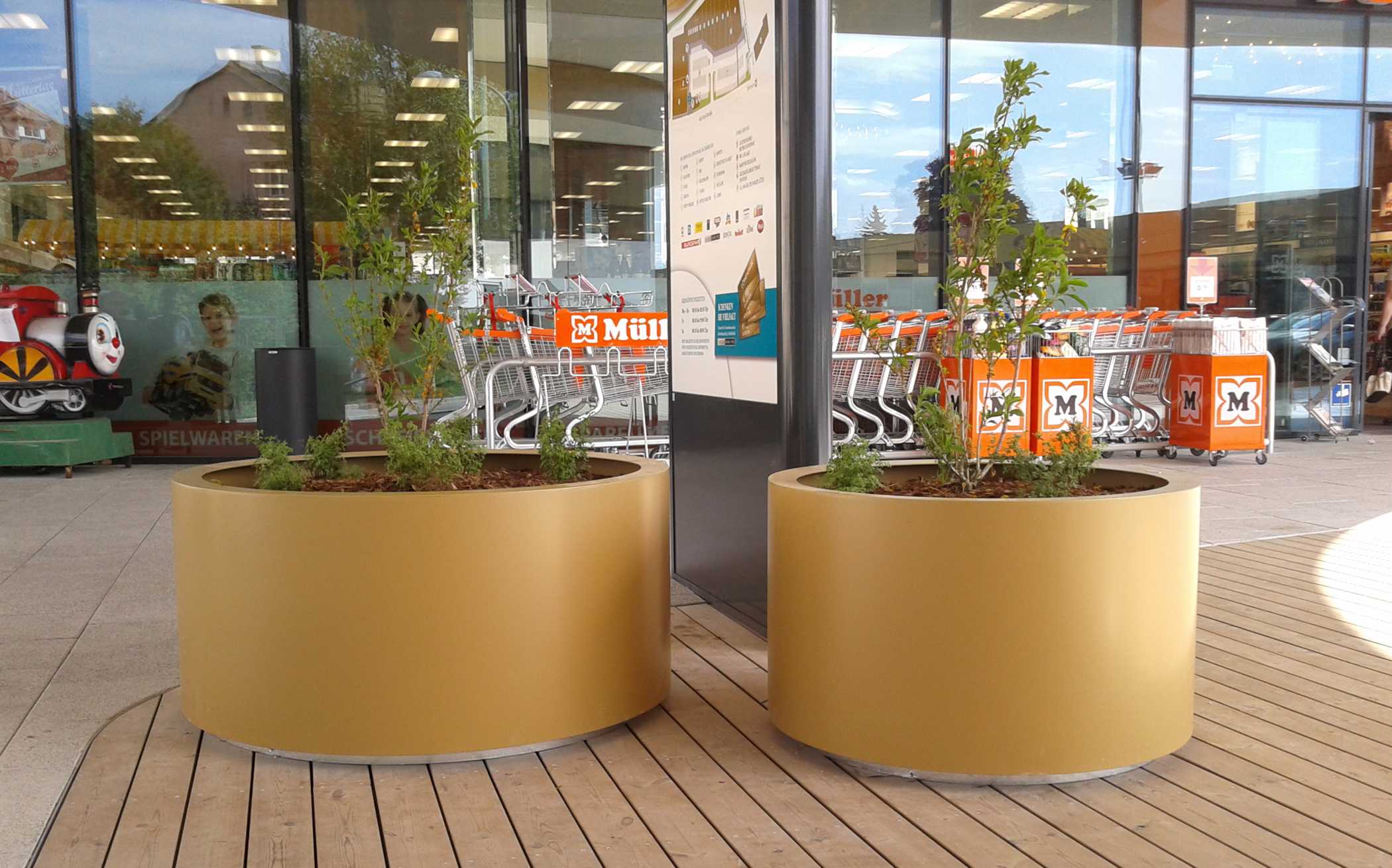 Aster Planter