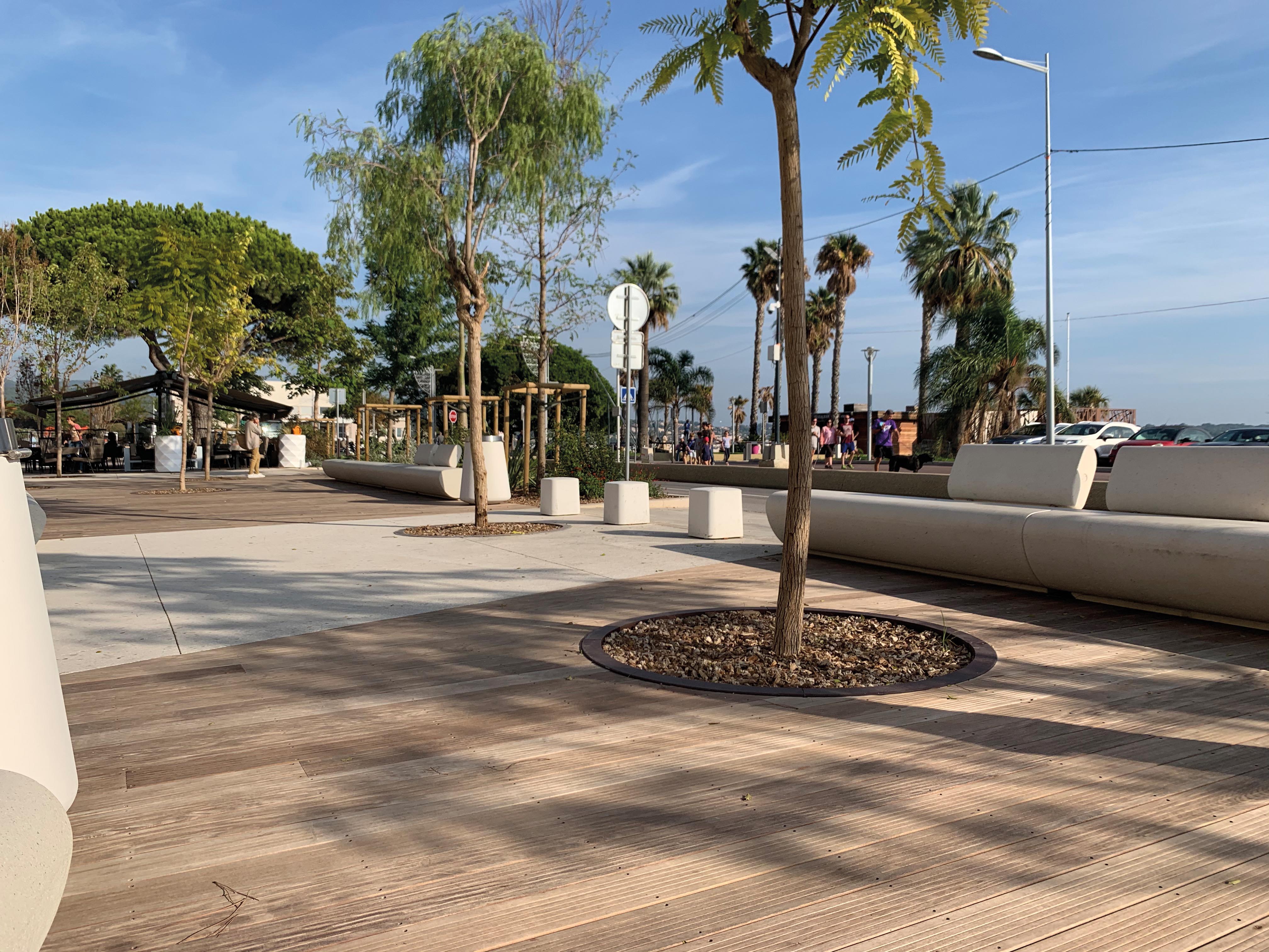 Tree Line Seating