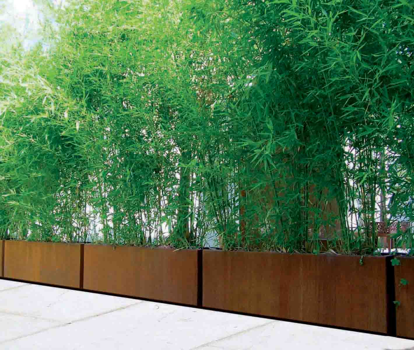 Bambu Planter