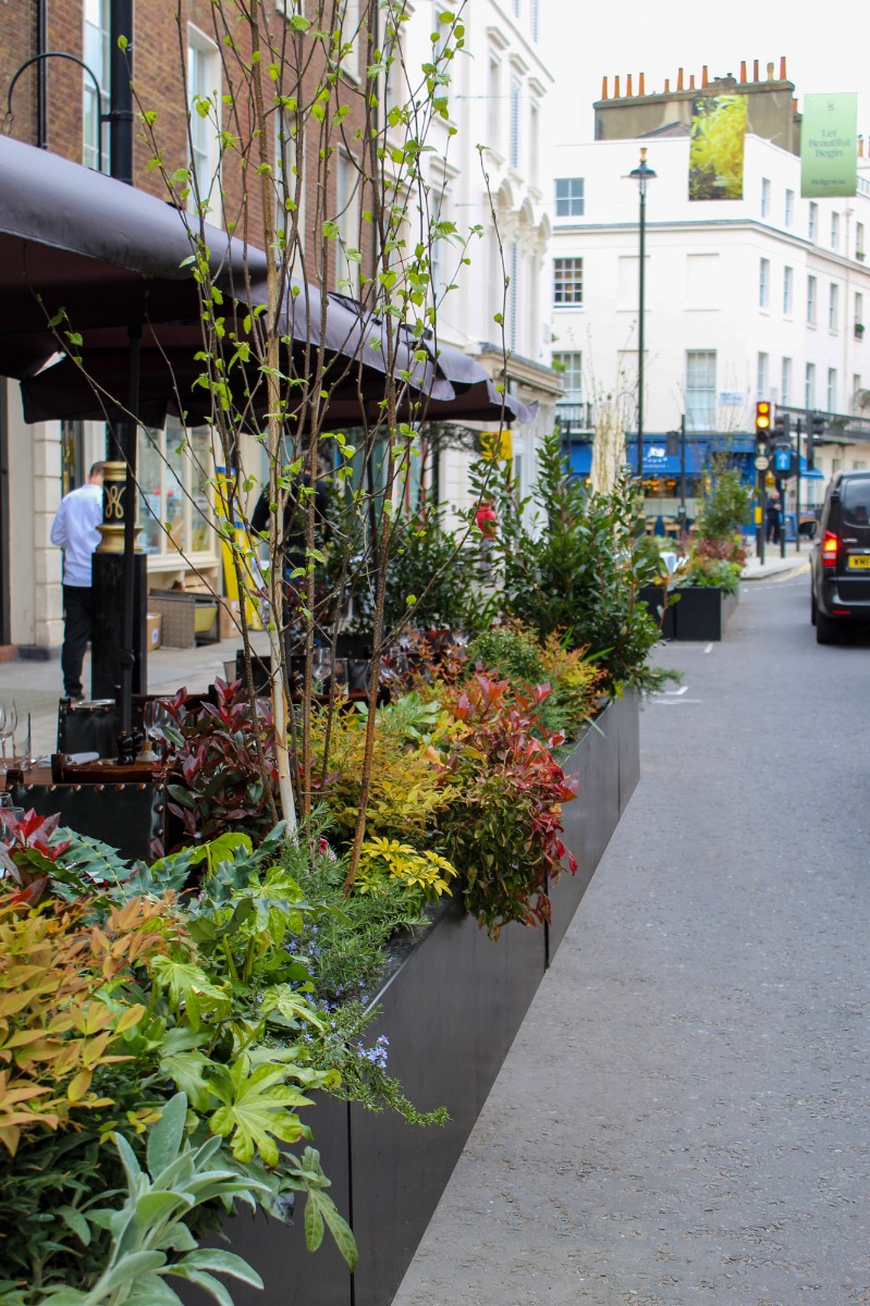 Belgravia Planter