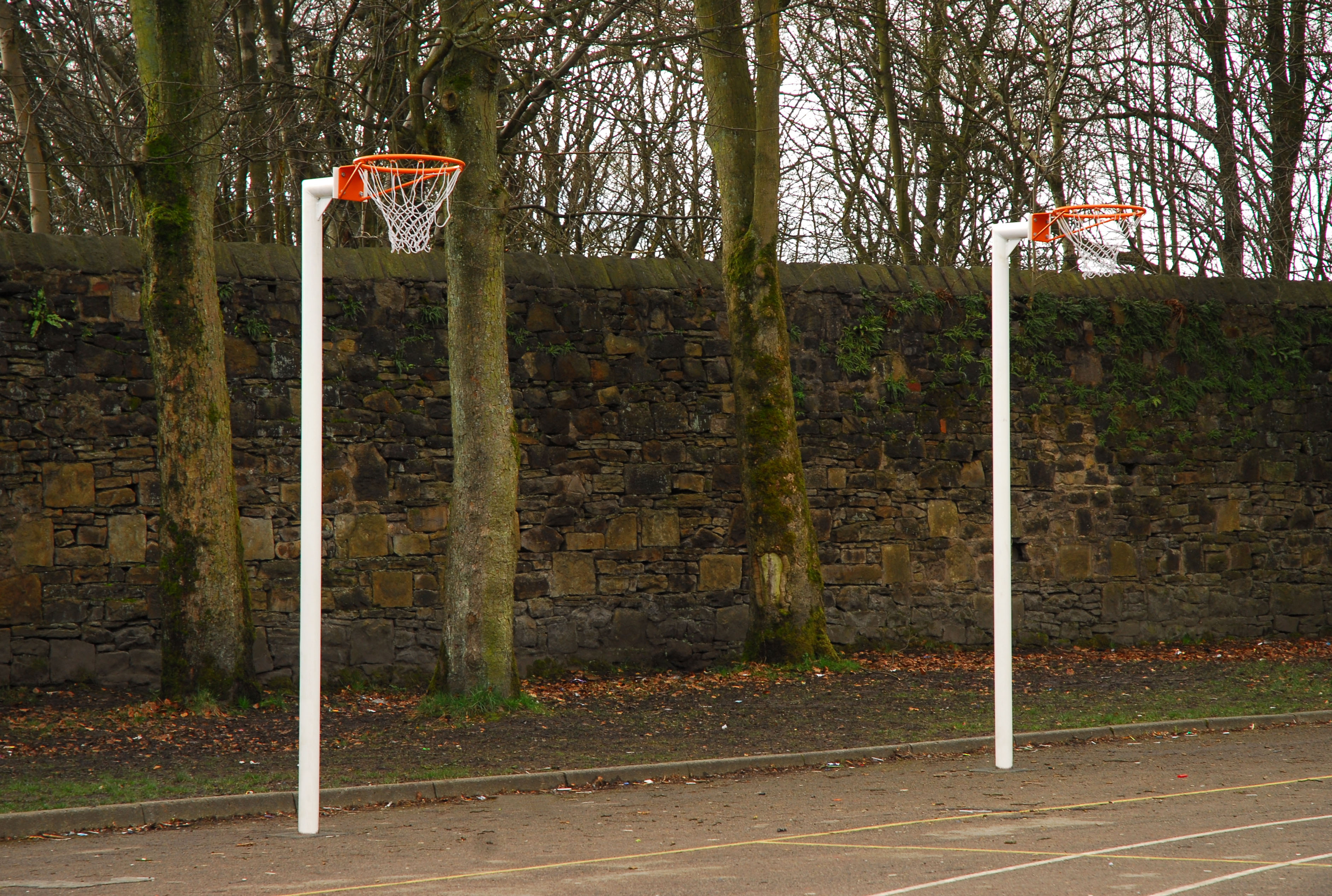Netball Post