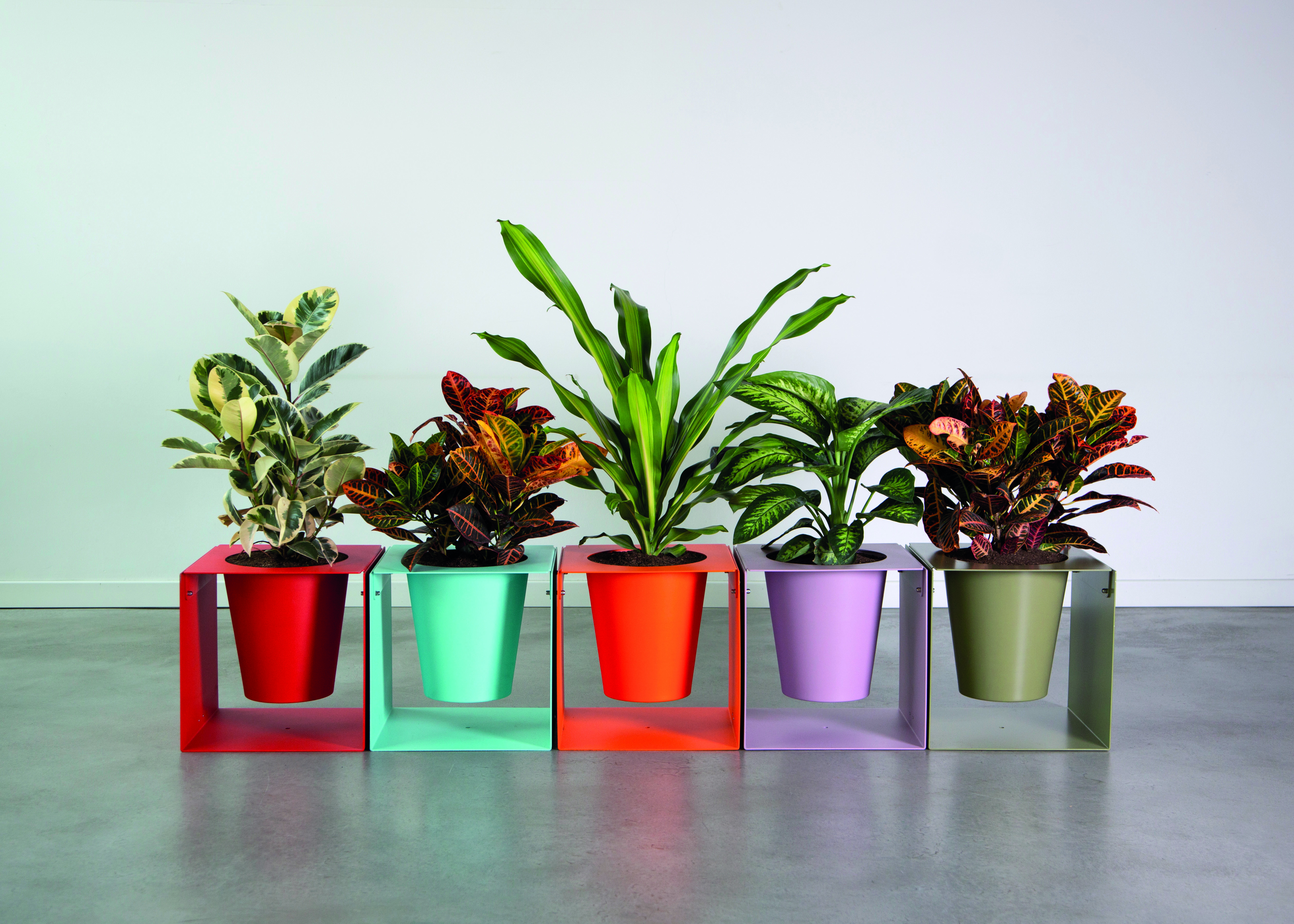 Cubik F Planter