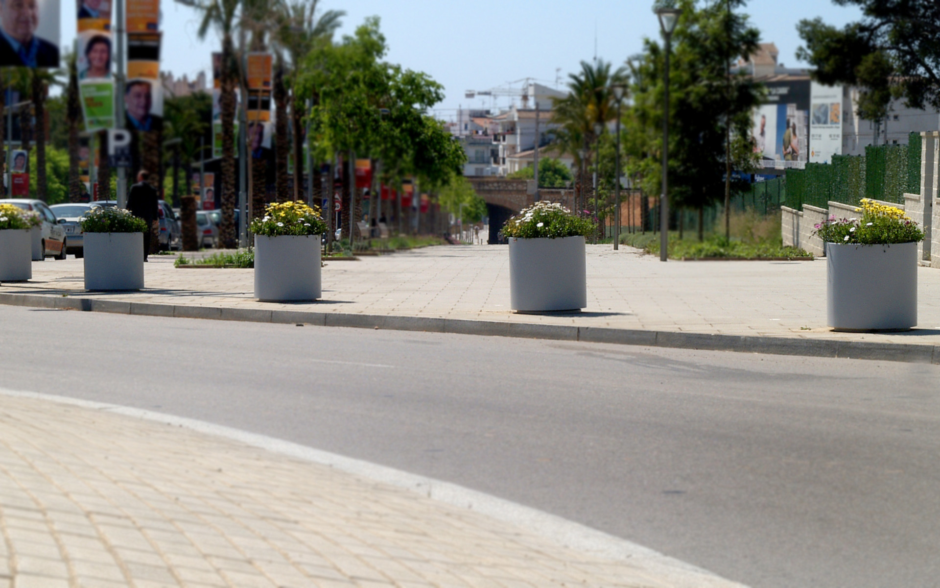 Aster Planter