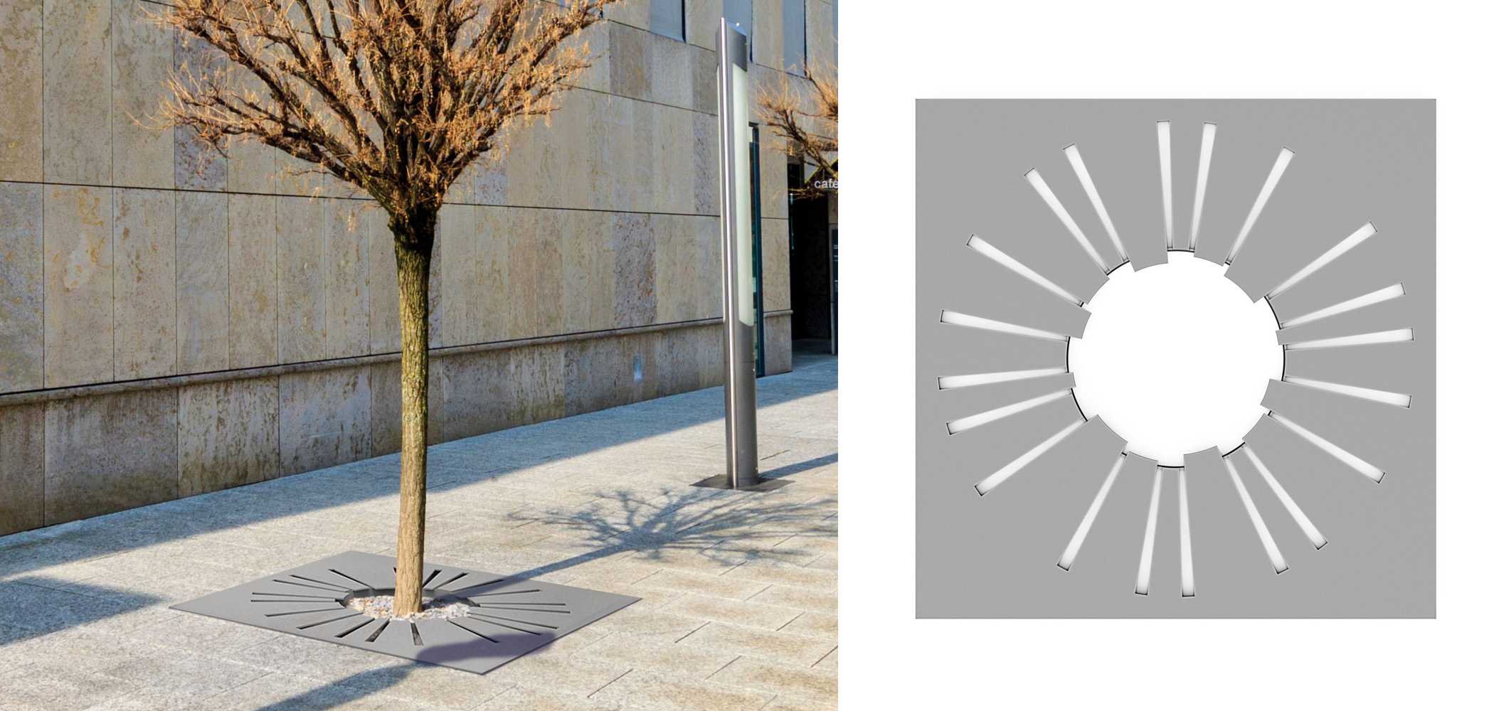 Sunny Tree Grille