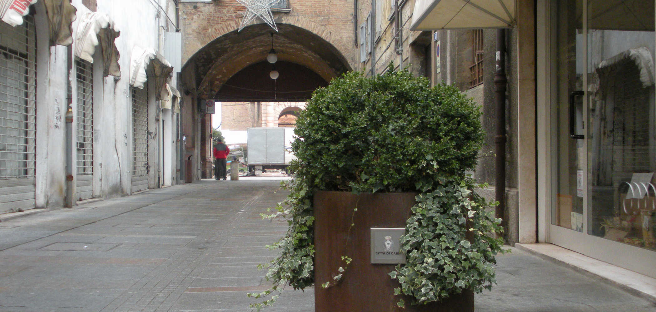 Aster Planter