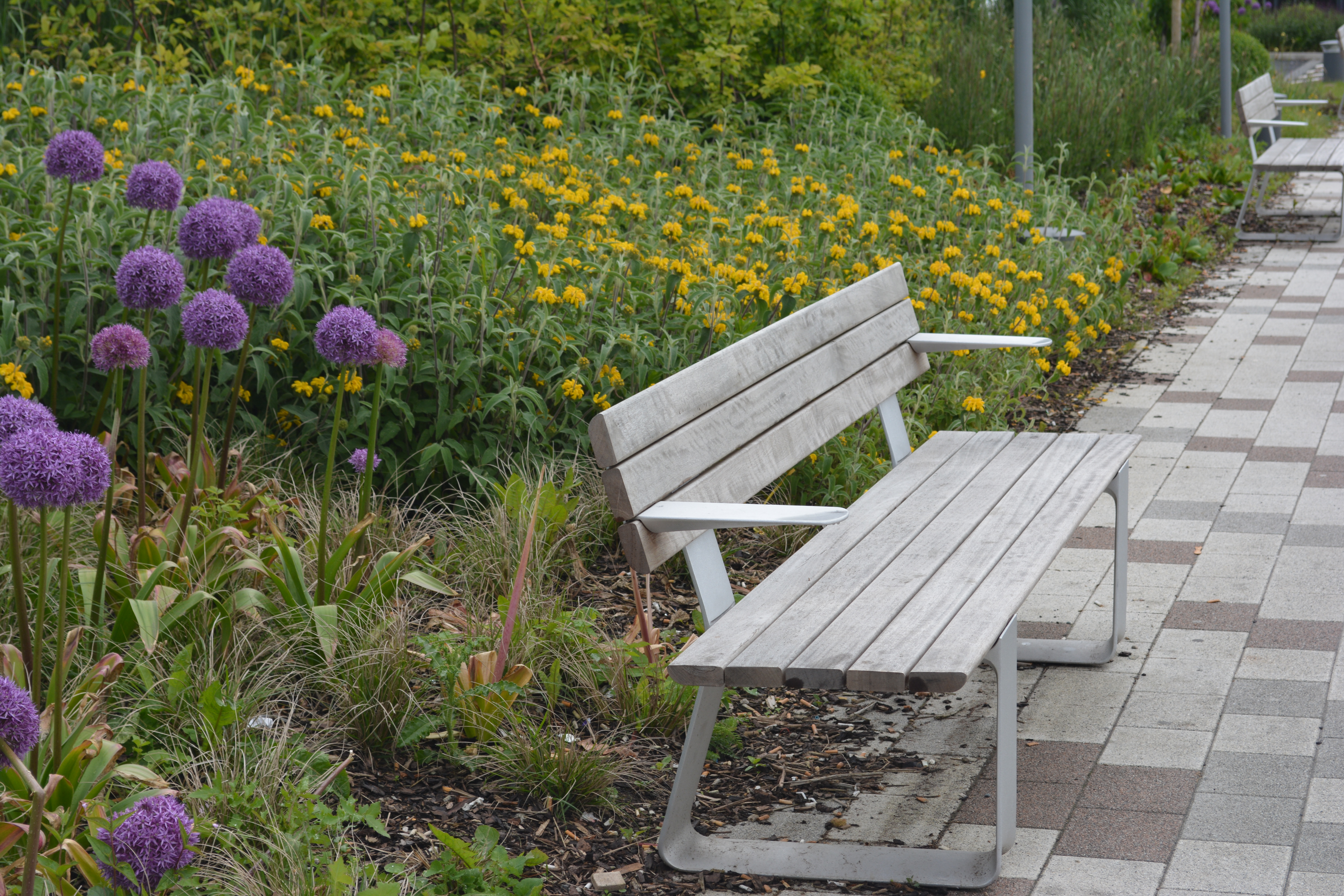 Multiplicity Seating