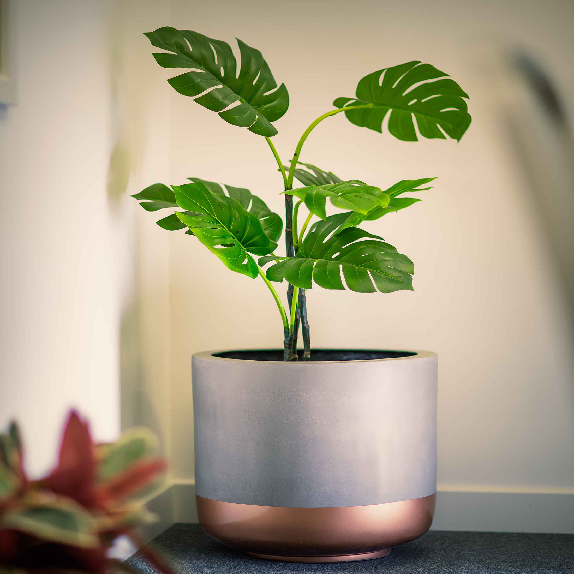 Derwent Planter