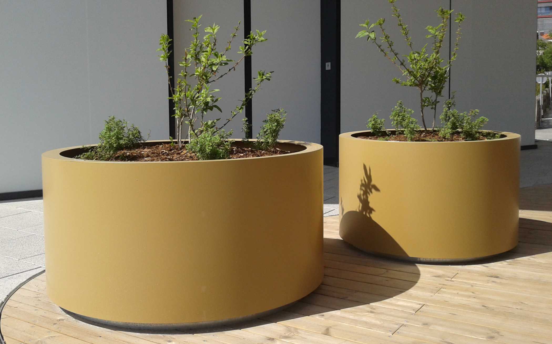 Aster Planter