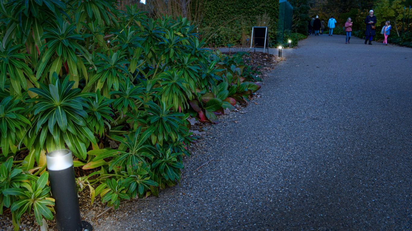 RHS Gardens, Wisley