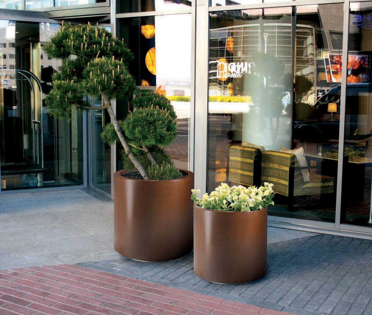 Aster Planter