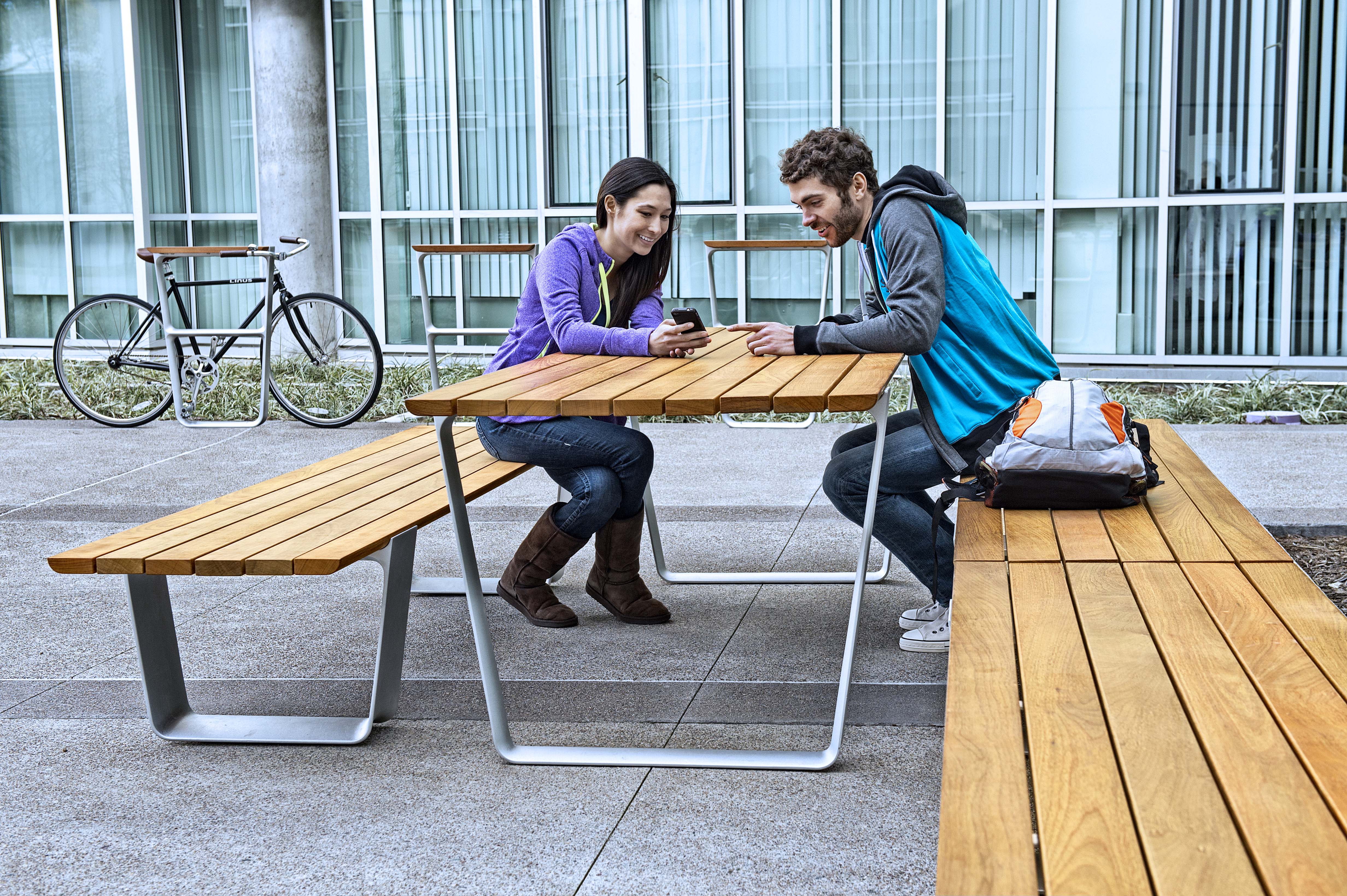 Multiplicity Picnic Table