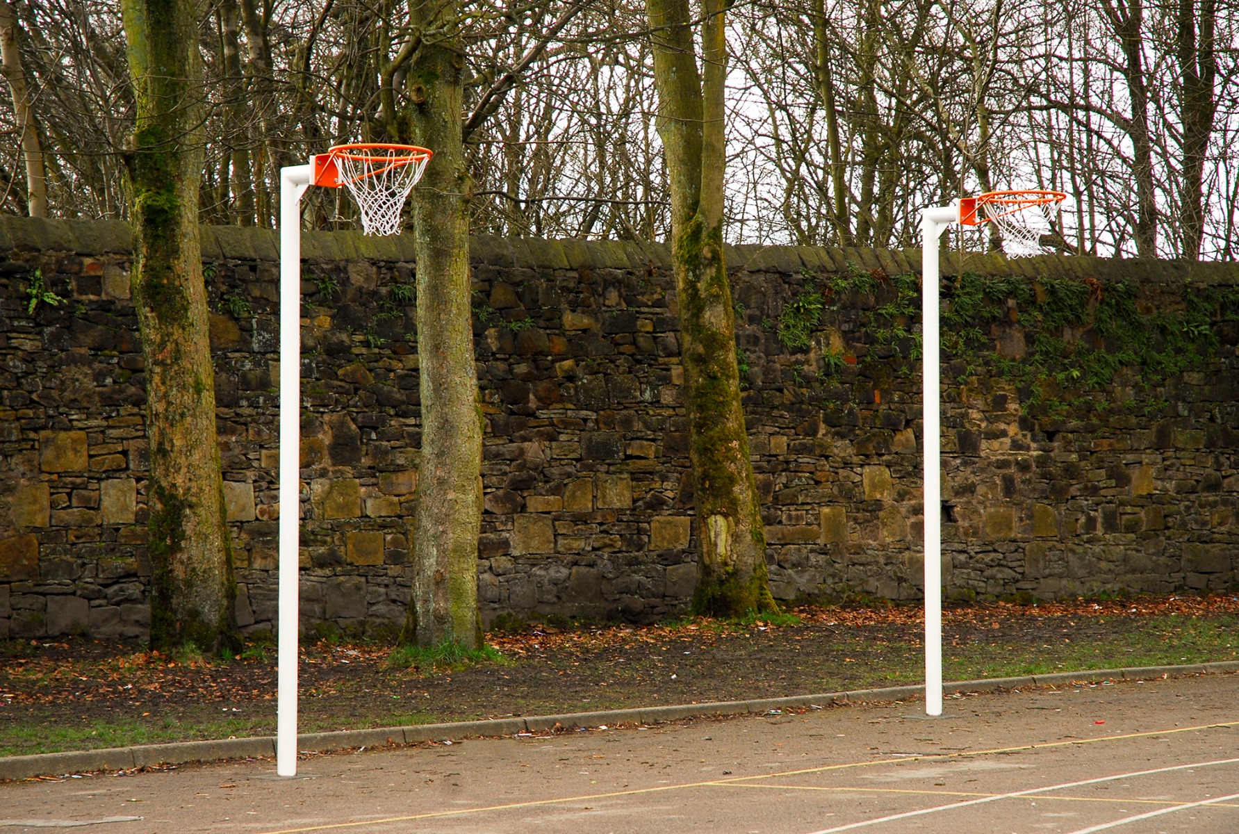 Netball Post