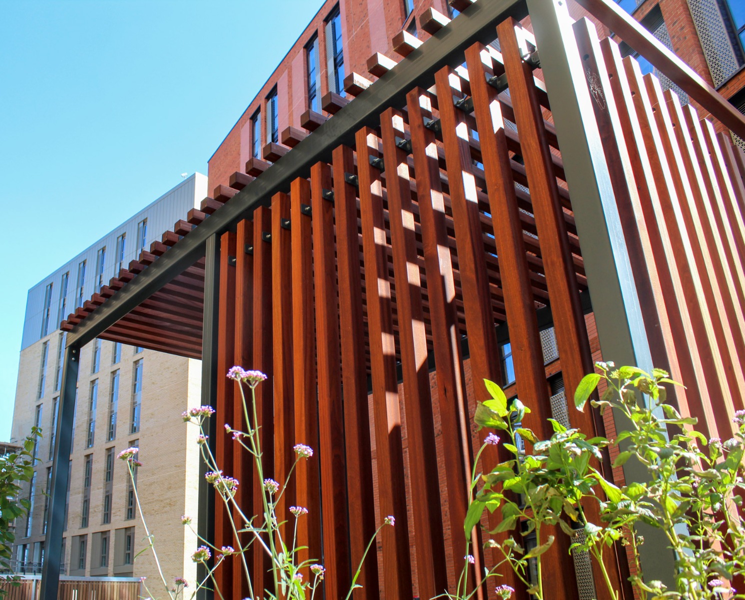 St Marks Pergola