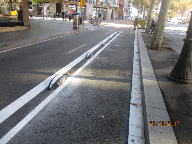 Bike Lane Separator
