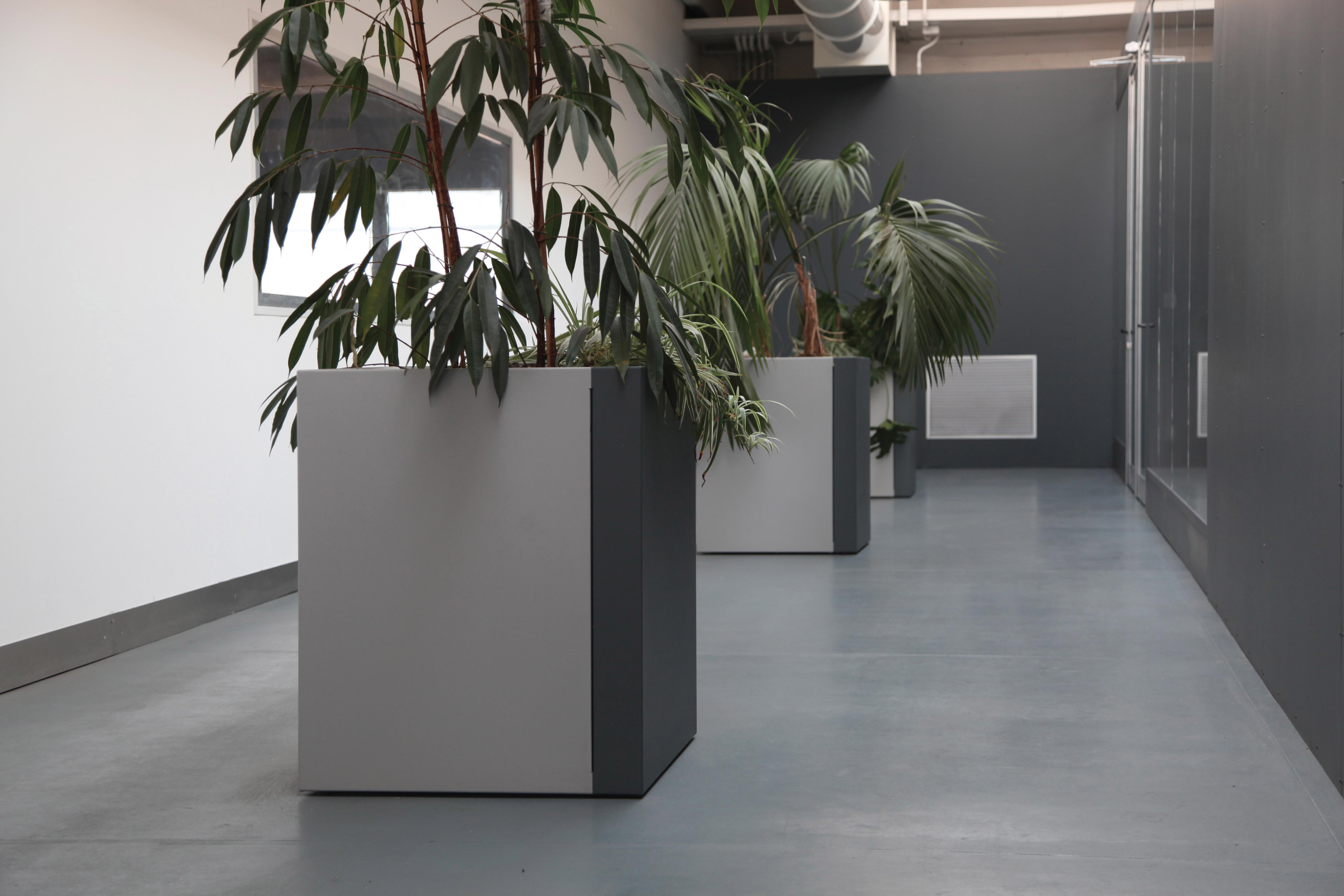 Duo Planter