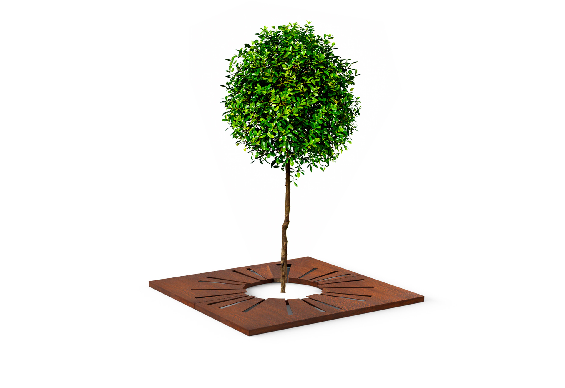 Tree Protection & Landscaping