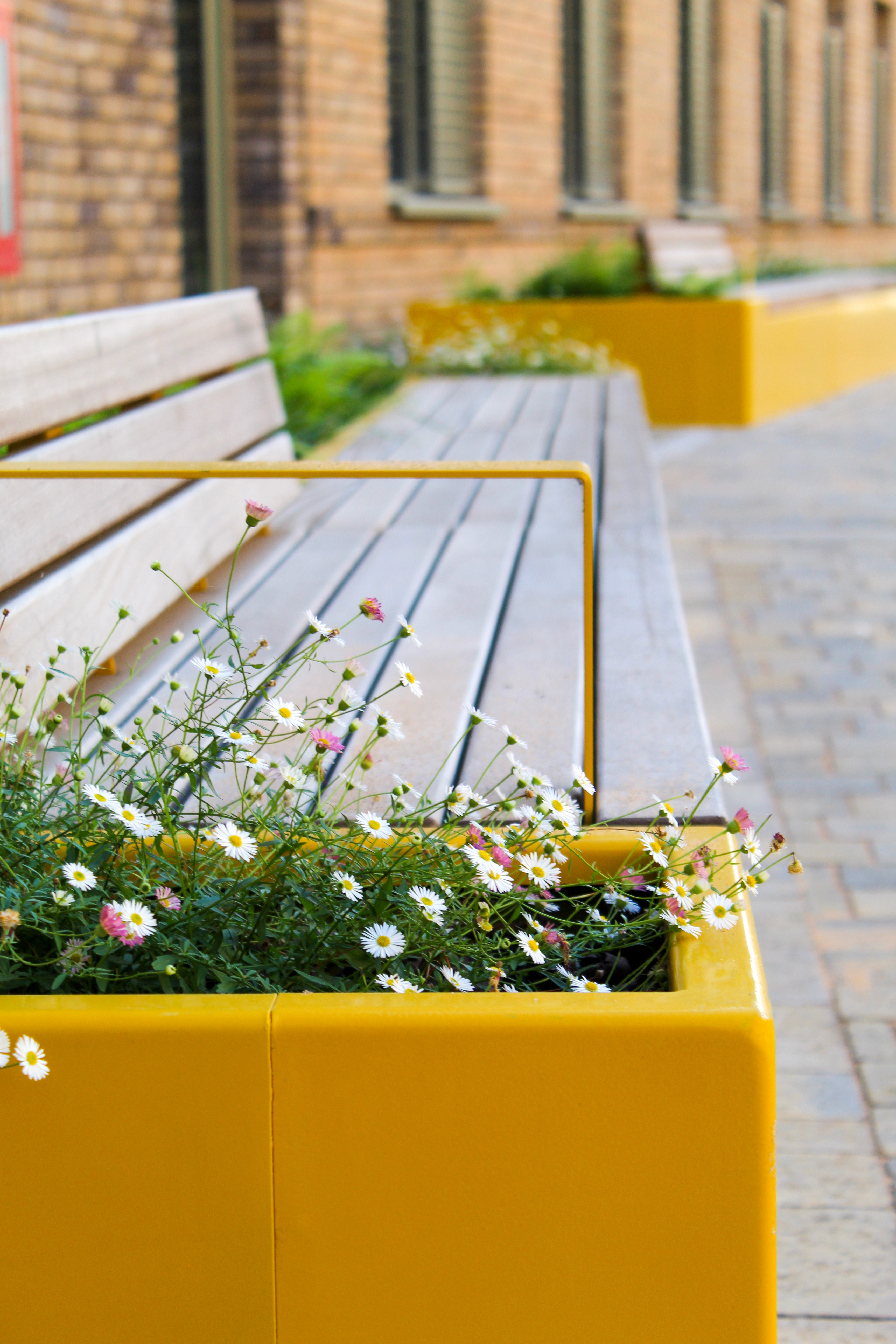 Inspira Planter