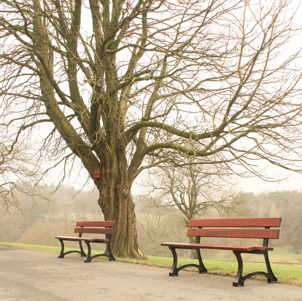 Bardot Seating
