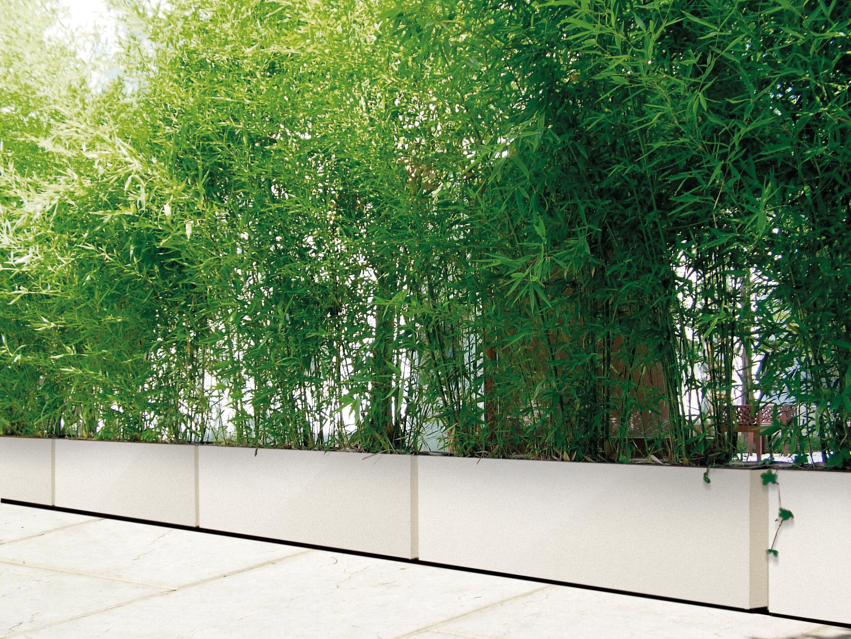 Bambu Planter