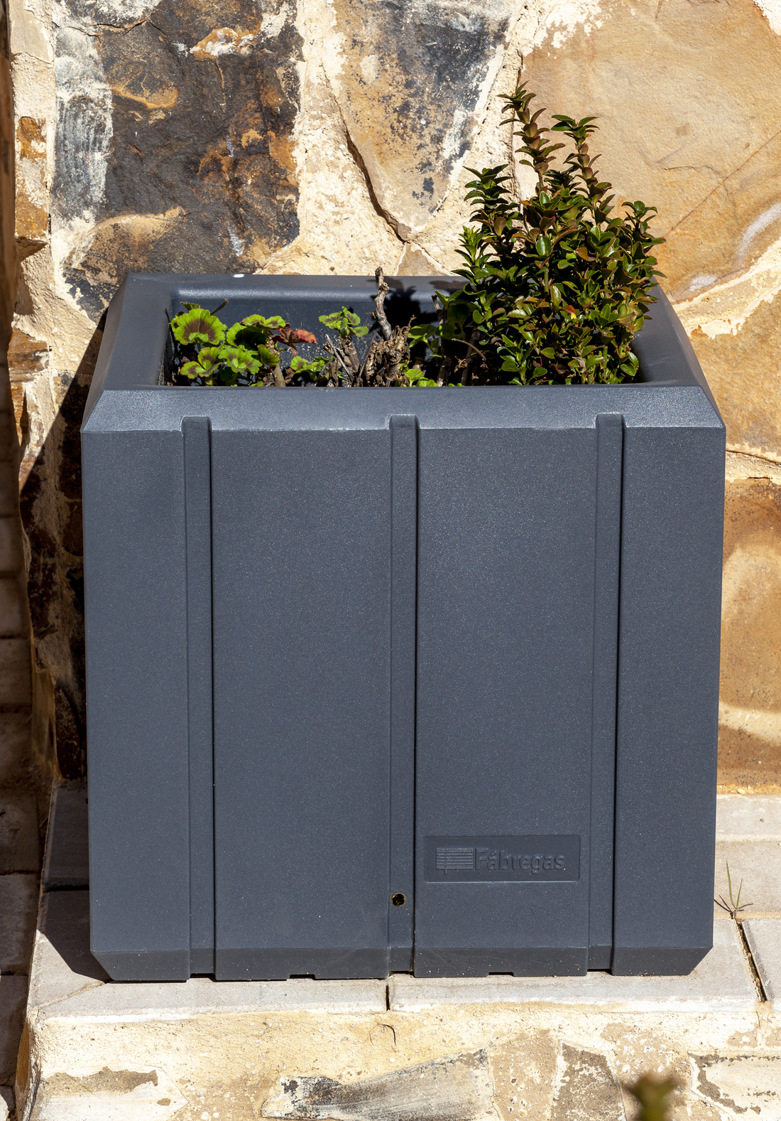 Heba Planter