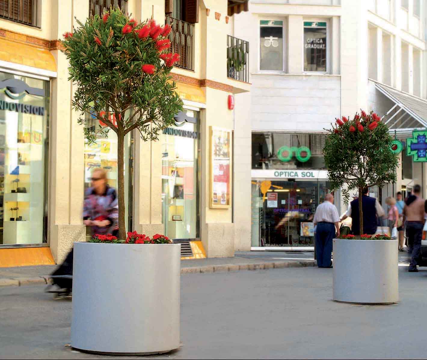 Aster Planter
