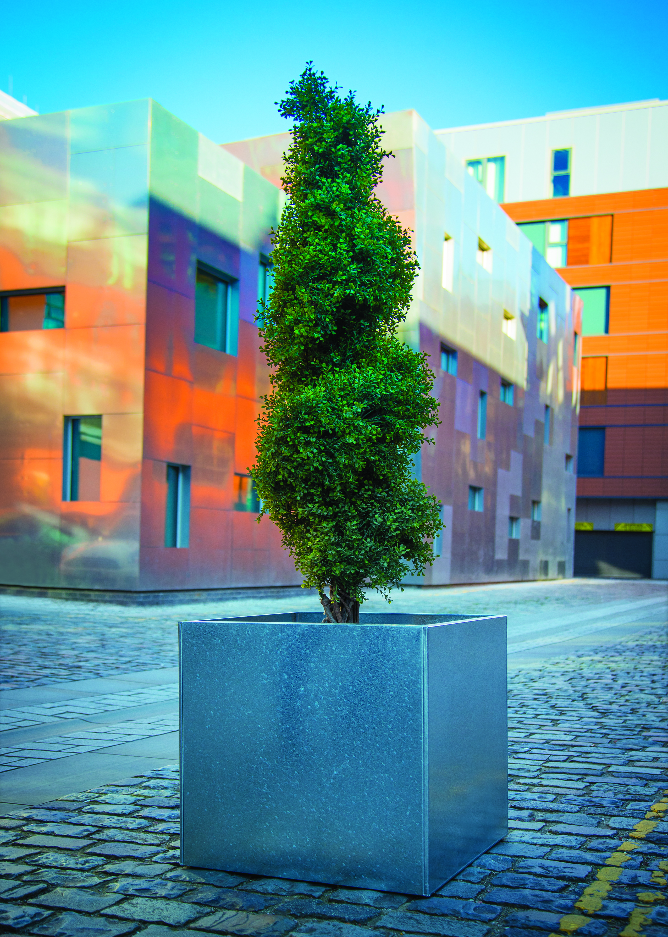 Cube Planter