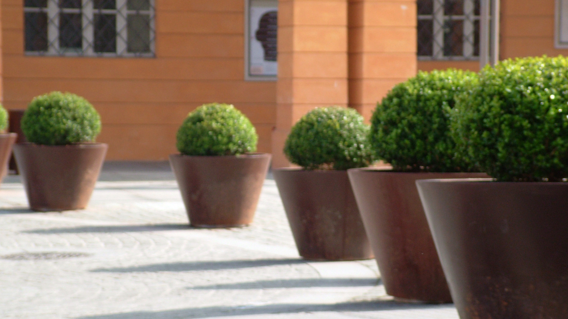 Pitocca Planter