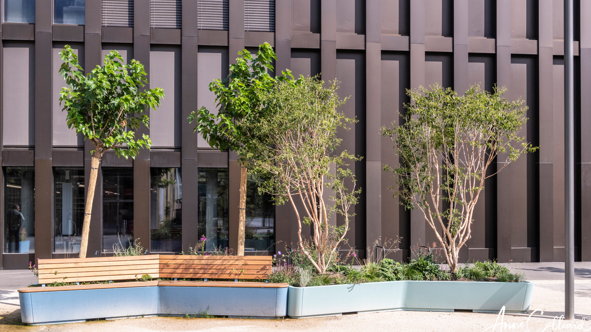 City of Sion Planter