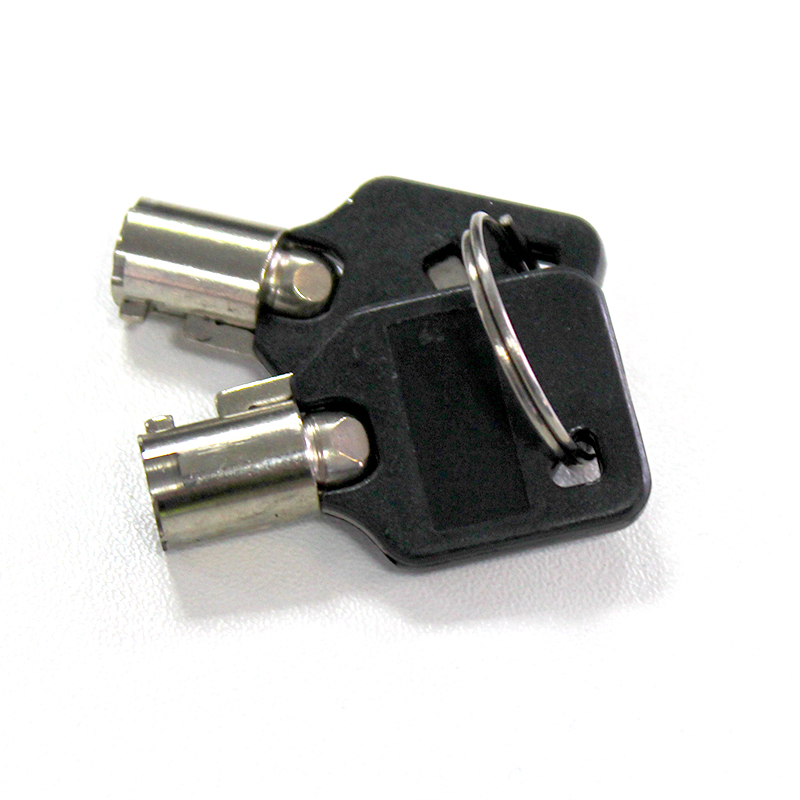 Keys (Pair) for Fold Down Bollard